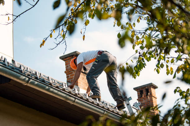 Best Local Roofing Companies  in Hidden Hills, CA